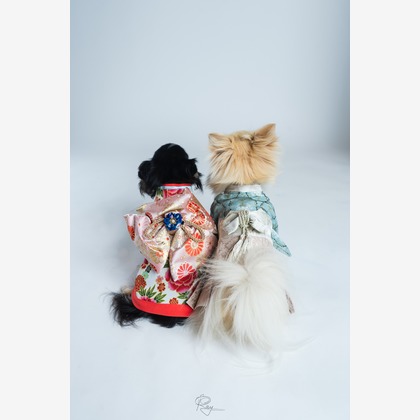 Ray Yamaguchiが撮影した「:albumName」の写真