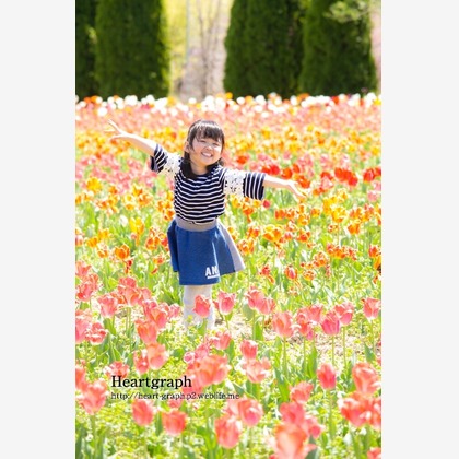 株式会社ハートグラフが撮影した家族写真の出張撮影/七五三フォトの写真