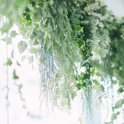 神宮啓佑が撮影した「:albumName」の写真