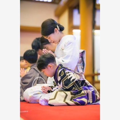 佐藤 葵が撮影した「:albumName」の写真