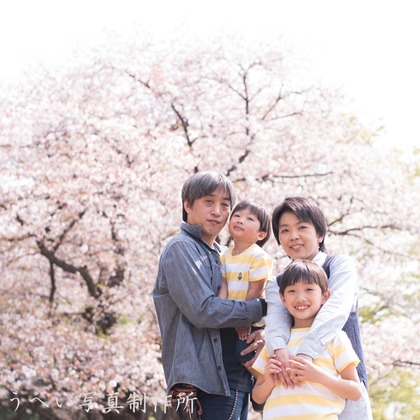 酒井こうへい写真製作所が出張撮影した入学式, 肌, 桜が写った家族写真の出張撮影の写真