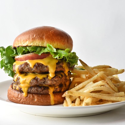 マイクロコズム合同会社が撮影した「:albumName」の写真