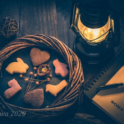 ヨッシ～が撮影したウェディングや家族、ビジネスの写真