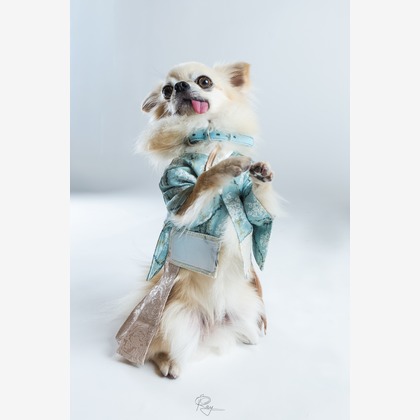 Ray Yamaguchiが撮影した「:albumName」の写真