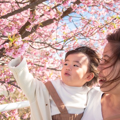 ゆのみふぉとが出張撮影した自然の中の人々, 手をつないで, 友情などが写った「桜とお写真」の家族写真