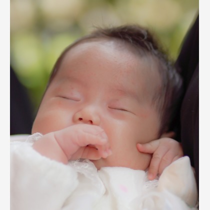 合同会社Joy Stormが撮影した「:albumName」の写真