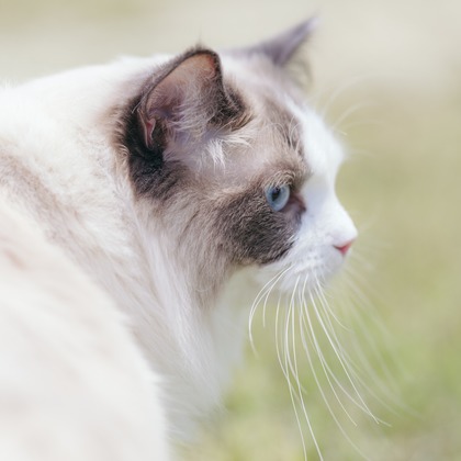 光画堂スタジオが撮影したウェディングや家族、ビジネスの写真