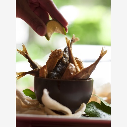 （有）プロヴィデンスが撮影した「:albumName」の写真