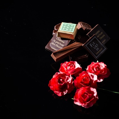 写真屋ごんちゃんが撮影した「:albumName」の写真