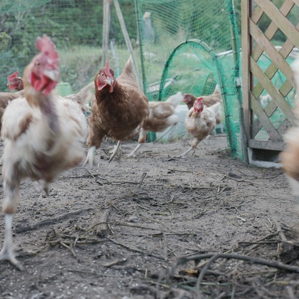 SHO HASEGAWAが撮影したその他/人物撮影の写真