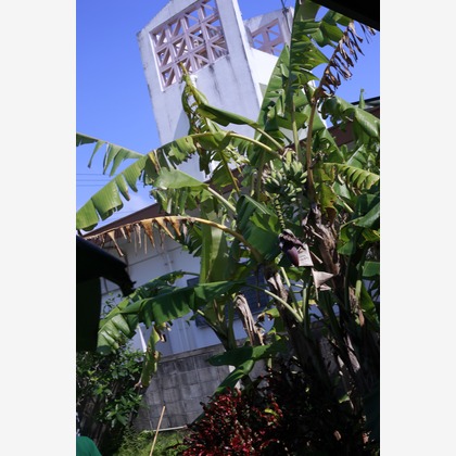 写真屋gonree　阿波根里恵が撮影した店舗/オフィス/サロン撮影の写真