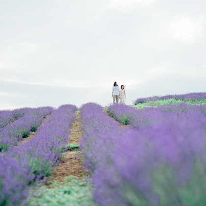 Photo of :albumName taken by itowa Photograph