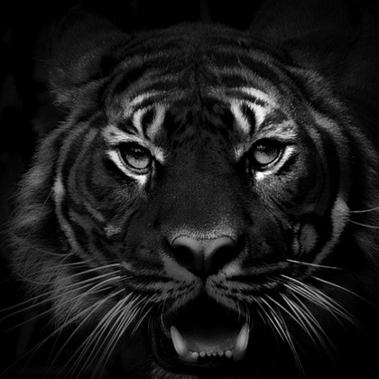 Photo of :albumName taken by 翔写真事務所