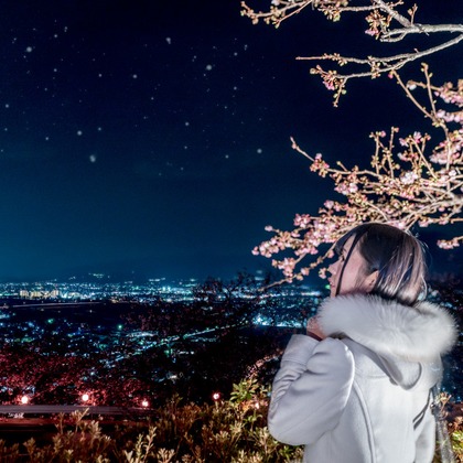 Studio Lightningが撮影したウェディングや家族、ビジネスの写真