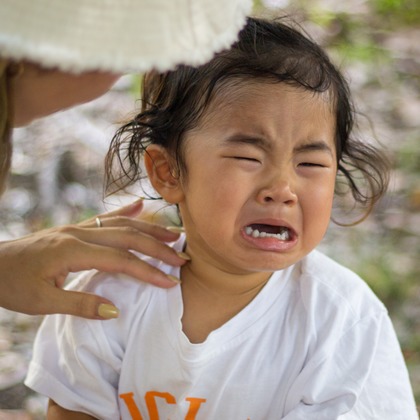 Smile photo misakeが撮影した「:albumName」の写真