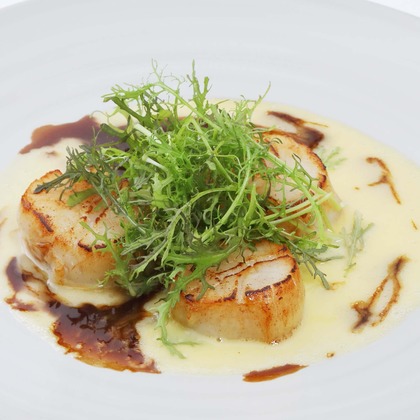 森安　照が撮影した「:albumName」の写真