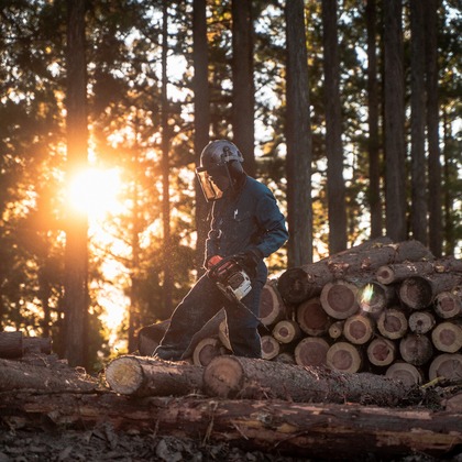 studio9thが撮影した「:albumName」の写真