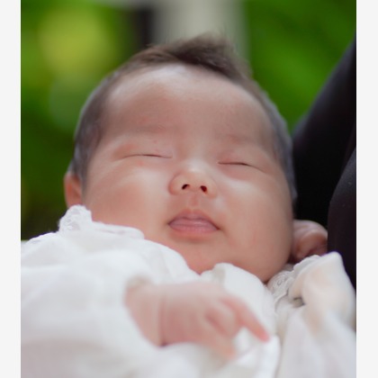 合同会社Joy Stormが撮影した「:albumName」の写真