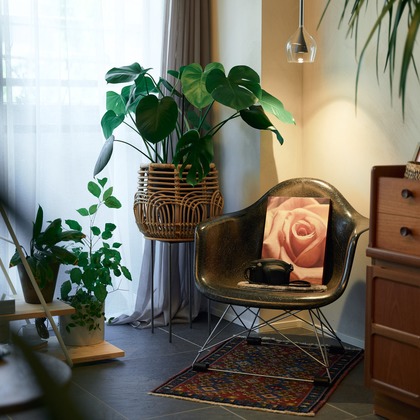 グラフフォトスタジオが撮影した「:albumName」の写真