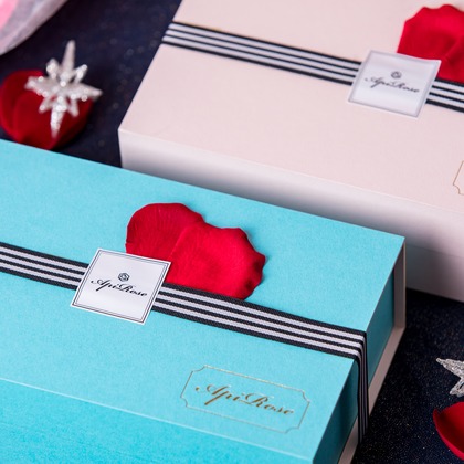 辻本俊輔が撮影した「:albumName」の写真