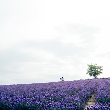 Photo of :albumName taken by itowa Photograph