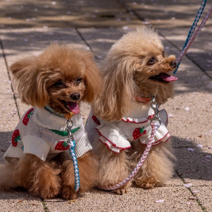 沖山俊樹が撮影した「:albumName」の写真