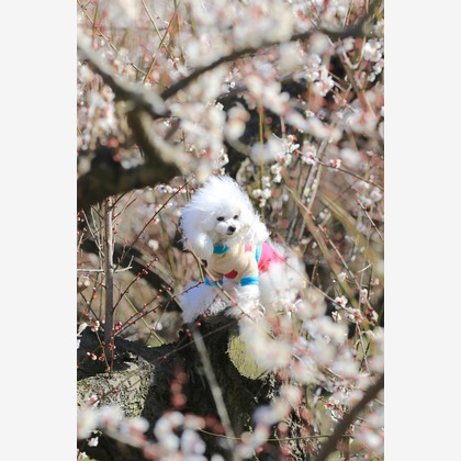 高橋 透（Coo&Sea STUDIO代表）が撮影した「:albumName」の写真