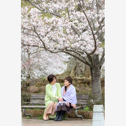 なかがわさとみが出張撮影した「桜と親子で記念撮影」の家族写真