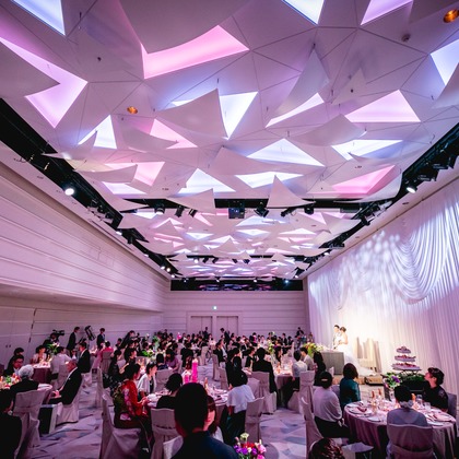 meganecco Photographyが撮影したウェディングや家族、ビジネスの写真