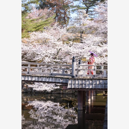 Visual Imagingが撮影した「:albumName」の写真