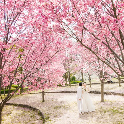 oが撮影したウェディングや家族、ビジネスの写真