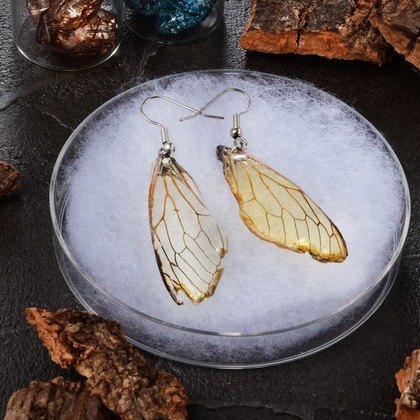 日高恵が撮影した「:albumName」の写真