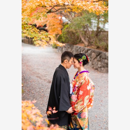 saruco(岩崎寿）が撮影した「:albumName」の写真