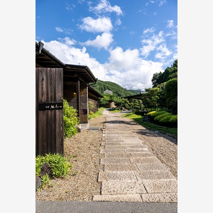 吉田佳央が撮影した「:albumName」の写真