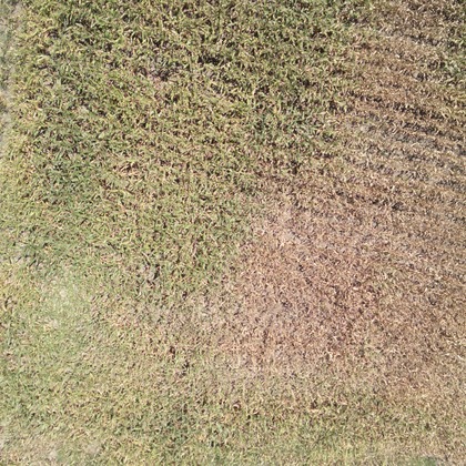 アナハイムエレクトロニクスが撮影したその他の写真