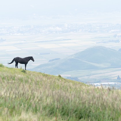 ハネムーンアベニューが撮影したその他の写真