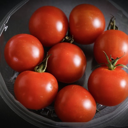 A&Y写真OFFICEが撮影したウェディングや家族、ビジネスの写真