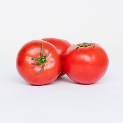 松井シンジが撮影した「:albumName」の写真