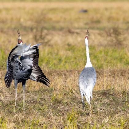 田中まさひろが撮影した「:albumName」の写真