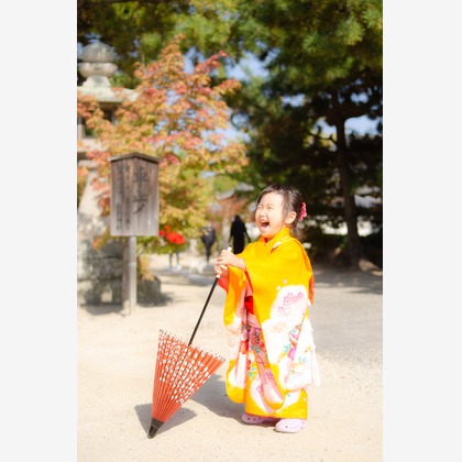 井上が撮影した「:albumName」の写真