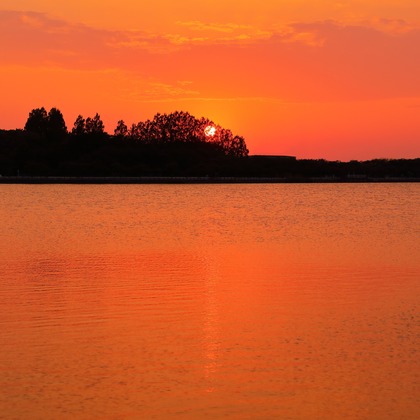 溝口崇が撮影した「:albumName」の写真