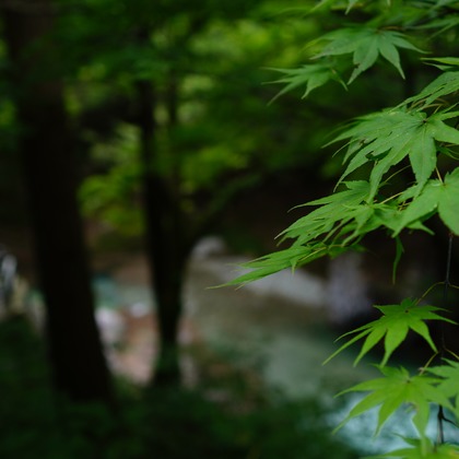 細部　歩が撮影したウェディングや家族、ビジネスの写真