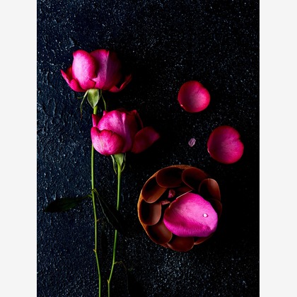 YEBISU PHOTOが撮影した「:albumName」の写真