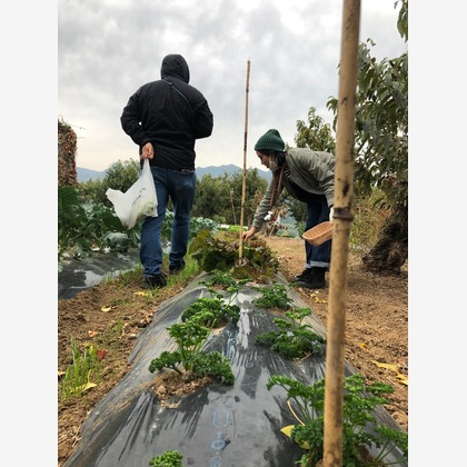 ant10.が撮影したイベント/スナップ撮影の写真