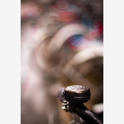 スタジオファンタスが撮影した「:albumName」の写真