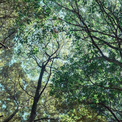 studio cactusが撮影した商品/物撮りの写真