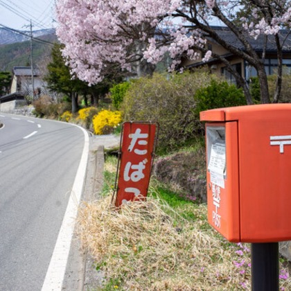 手塚隆弘が撮影したイベント/スナップ撮影の写真