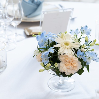 杉安写真事務所が撮影した「:albumName」の写真