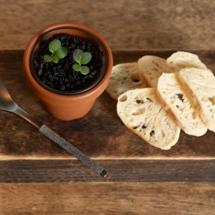 Tatsuyaが撮影した「:albumName」の写真