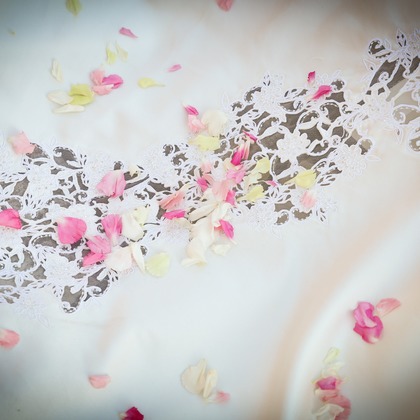 Photo of :albumName taken by SATOMI NAKAGAWA